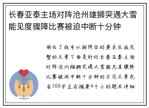 长春亚泰主场对阵沧州雄狮突遇大雪能见度骤降比赛被迫中断十分钟