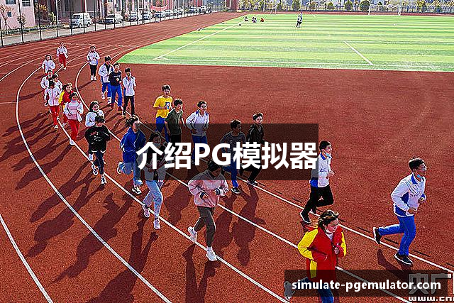介绍PG模拟器